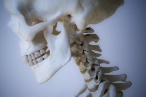http://vidaequilibrio.com.br/wp-content/uploads/2011/06/esqueleto-humano-300x199.jpg