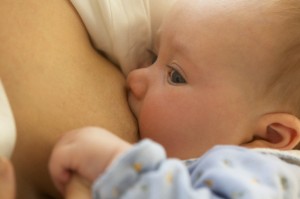 bebê mamando - aleitamento