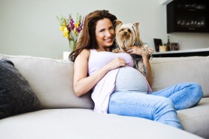 grávida e cão de estimação