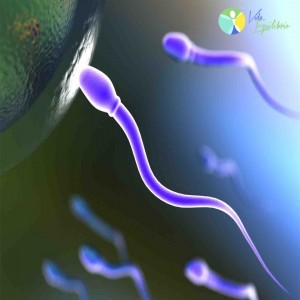 infertilidade_masculina_vida_equilibrio